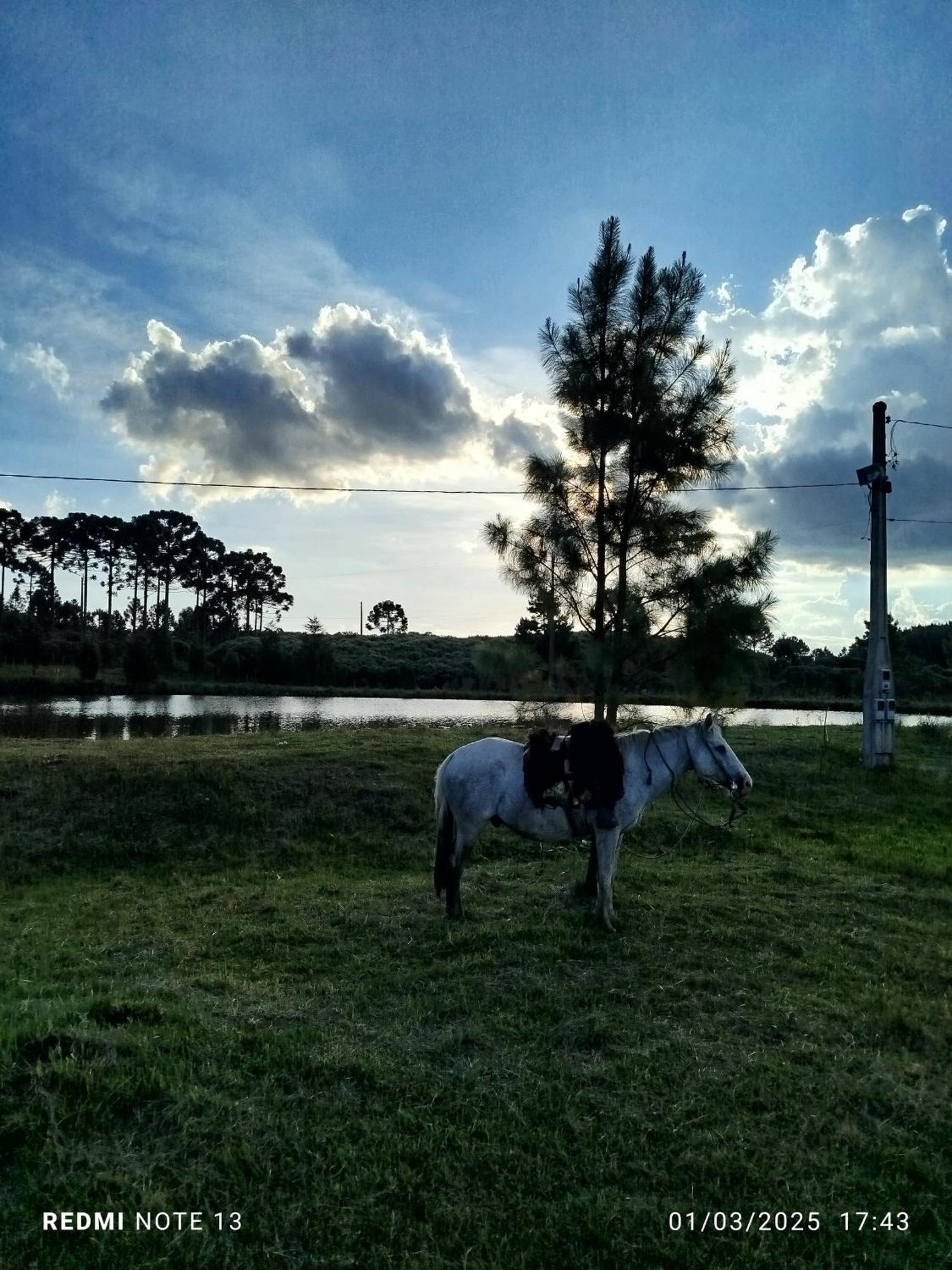 Encanto Das Araucarias Cambará Extérieur photo